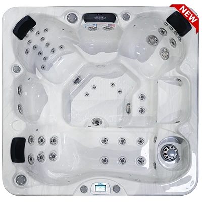 Avalon-X EC-849LX hot tubs for sale in Newport News