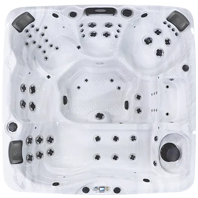 Avalon EC-867L hot tubs for sale in Newport News